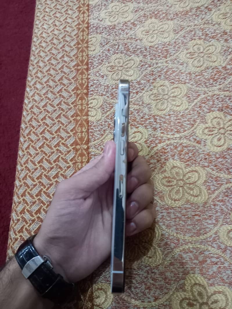 Apple iPhone 12 Pro Max 2