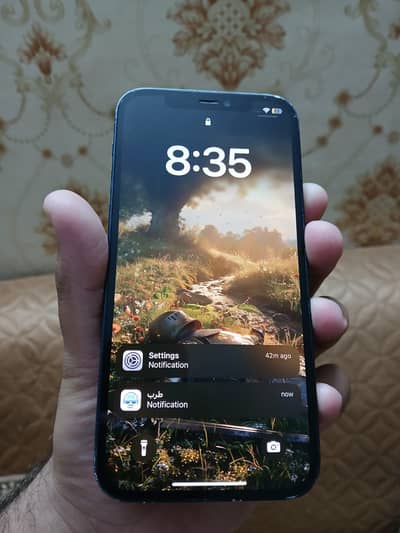 Iphone 12 non-pta
