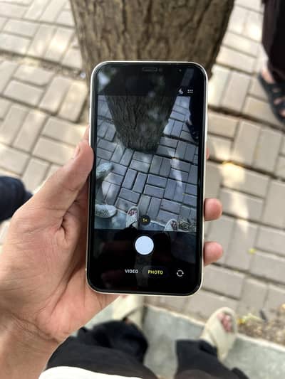 Apple iPhone 11