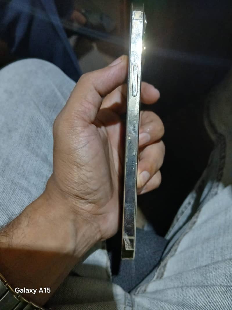 Apple iPhone 12 Pro Max 1