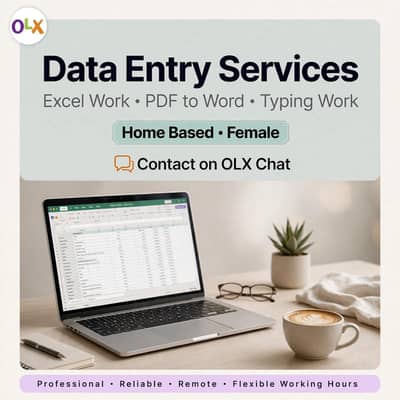 I will do Data Entry, Excel Work and Typing - Home Based Female