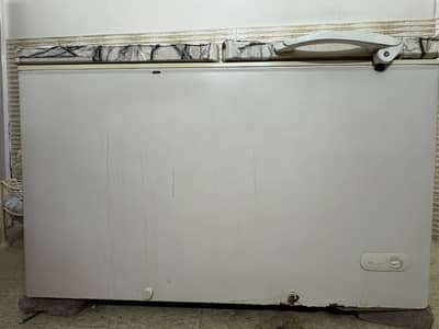 Dawlence Refrigerator/Deep-Freezer