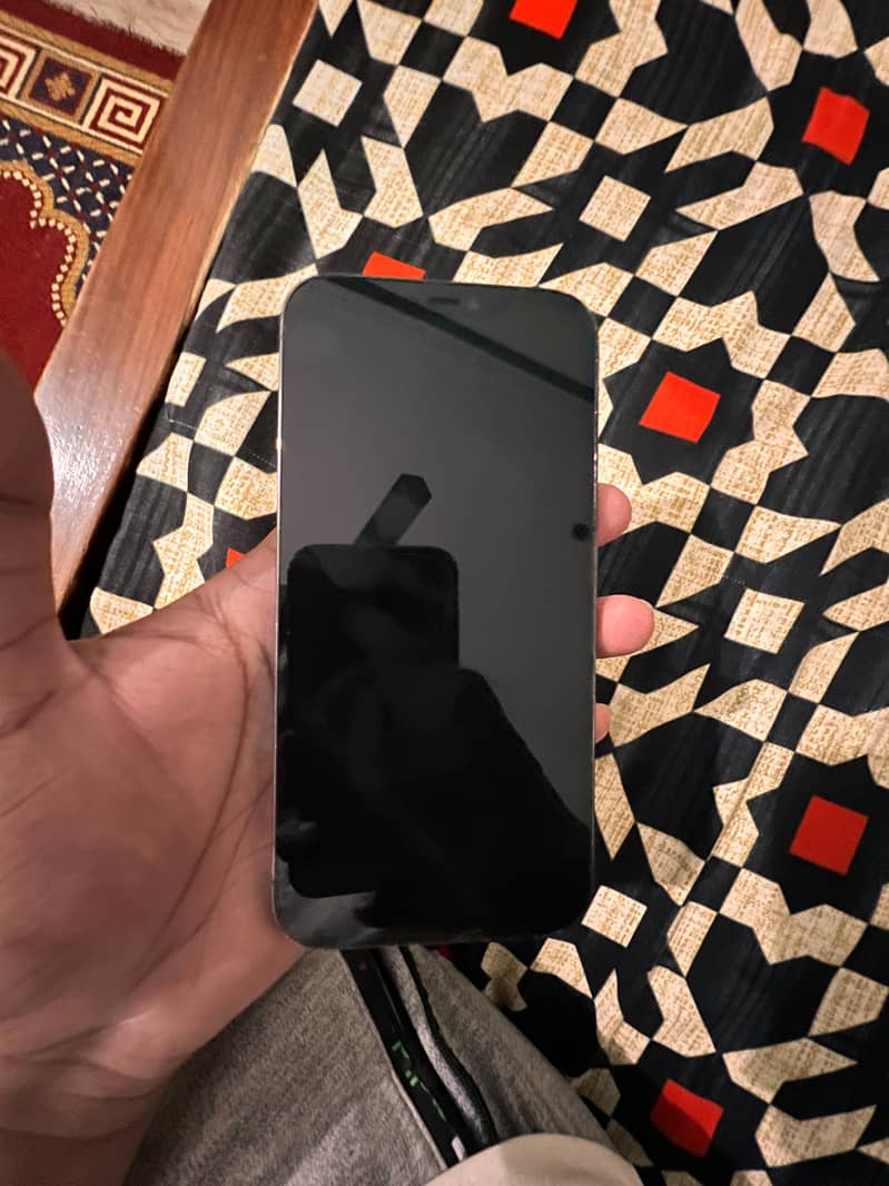 Apple iPhone 12 Pro Max 1