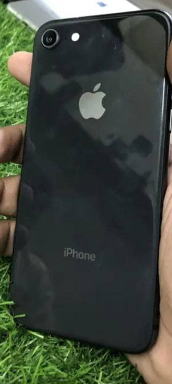 Apple iPhone 8 1