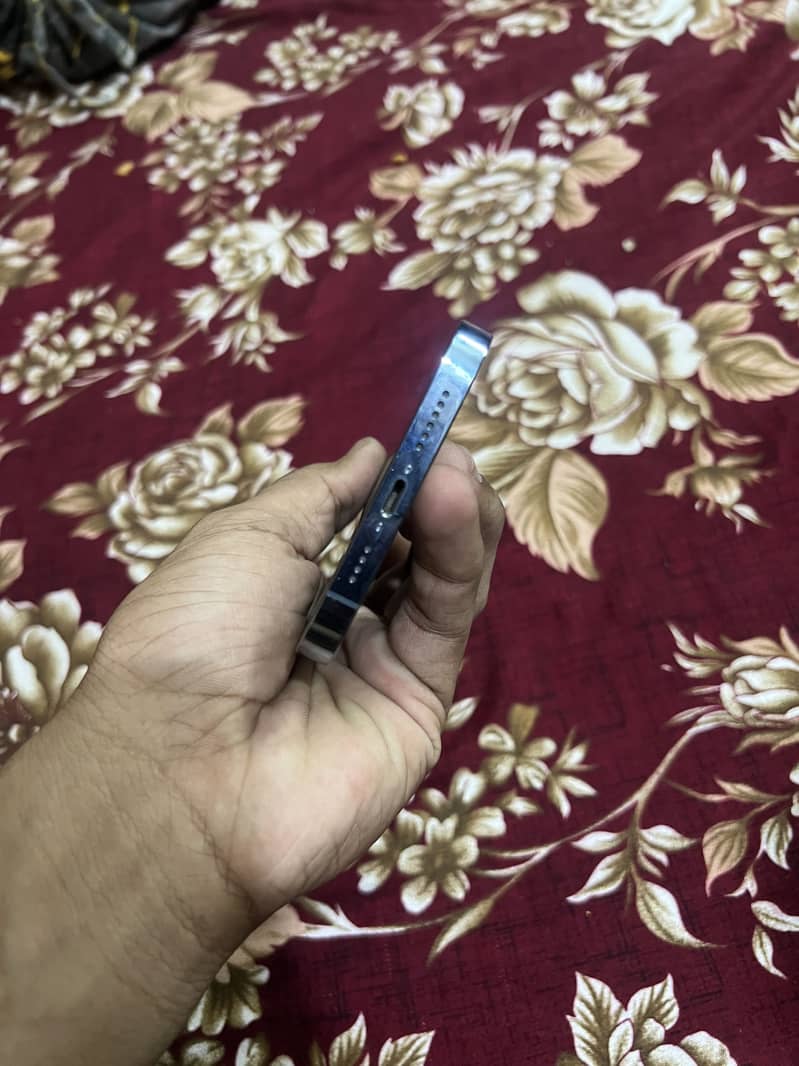 Apple iPhone 13 Pro Max 1
