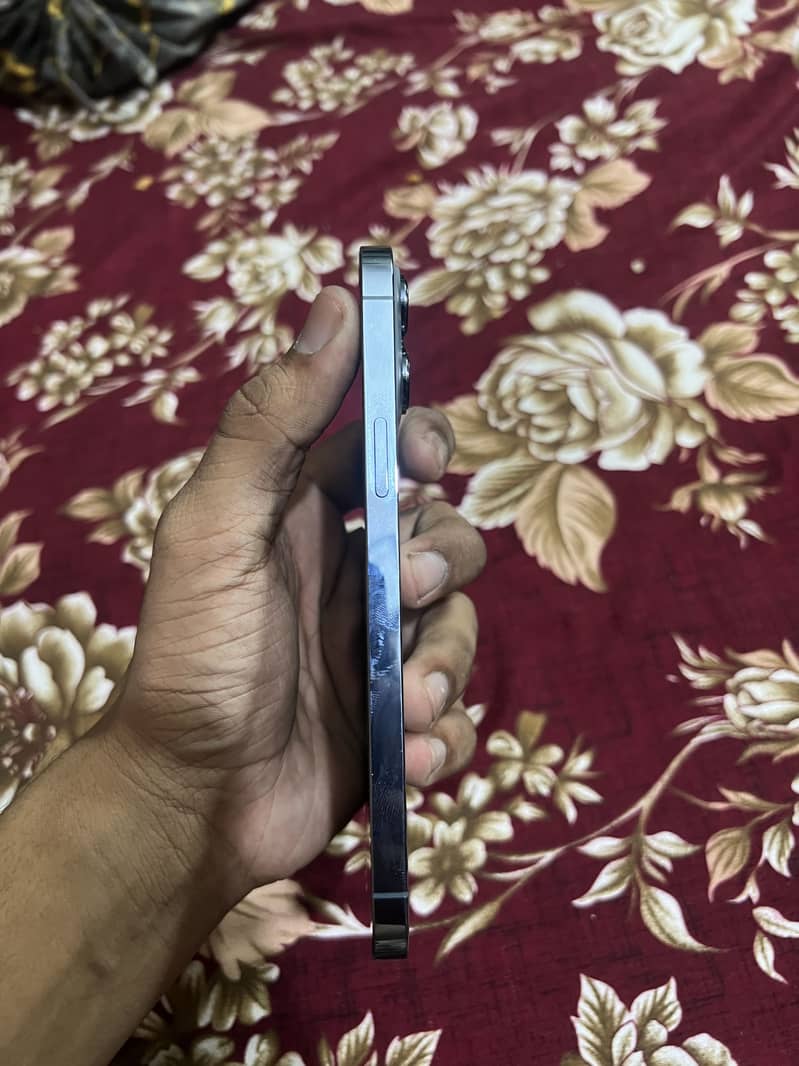 Apple iPhone 13 Pro Max 3