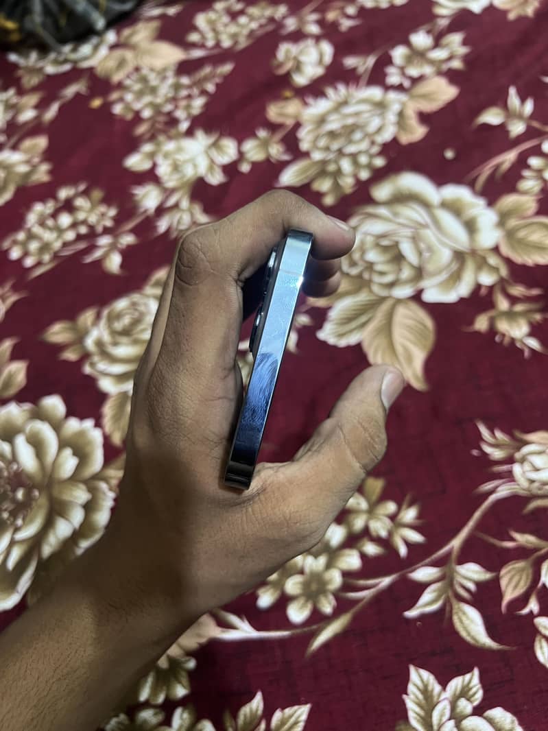 Apple iPhone 13 Pro Max 4