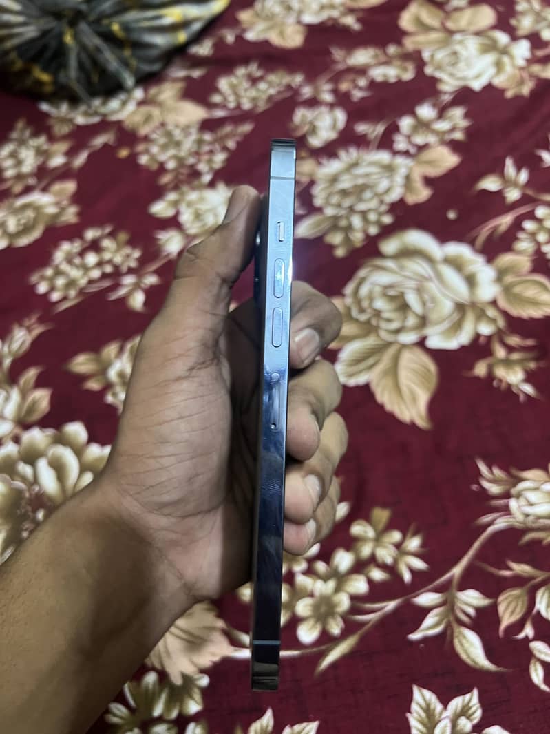 Apple iPhone 13 Pro Max 5