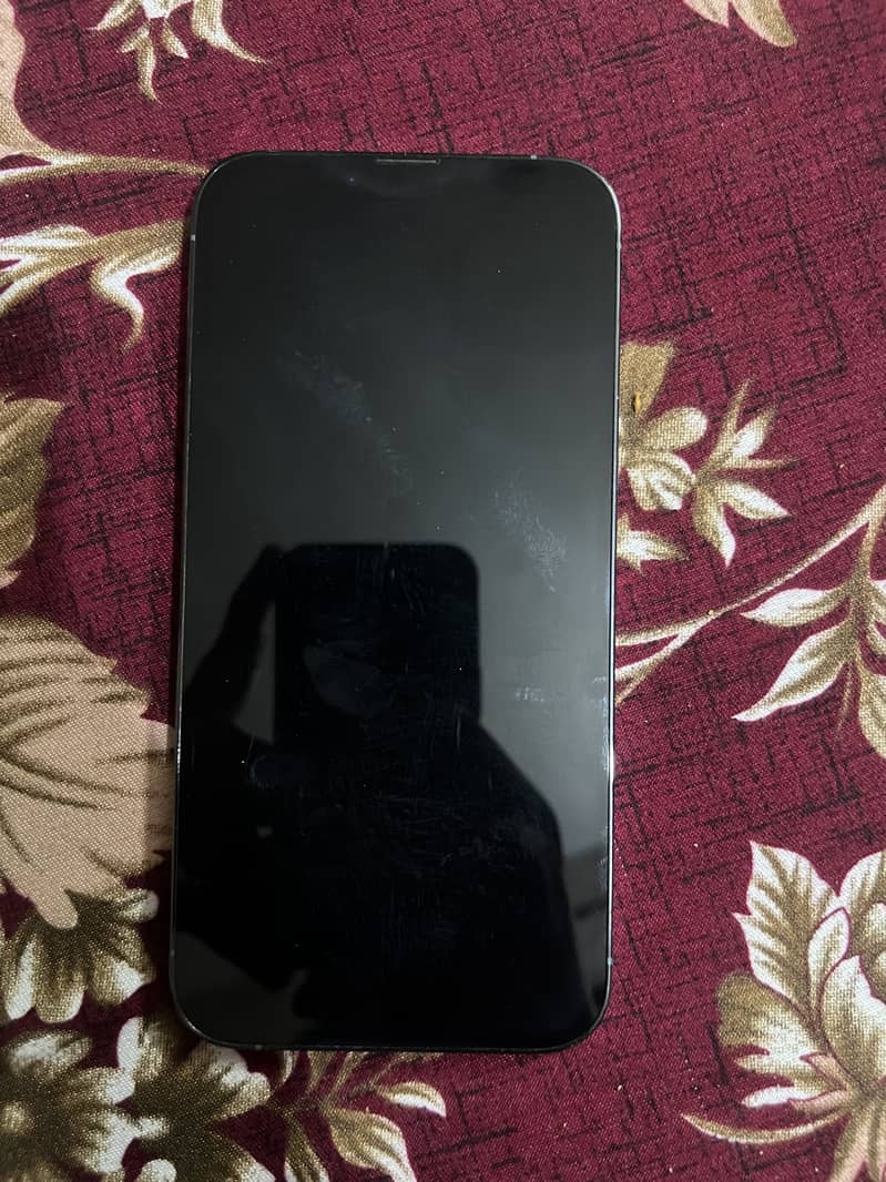 Apple iPhone 13 Pro Max 6