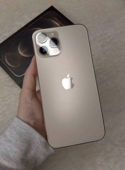 i Phone 12 pro max 256 PTA Approved