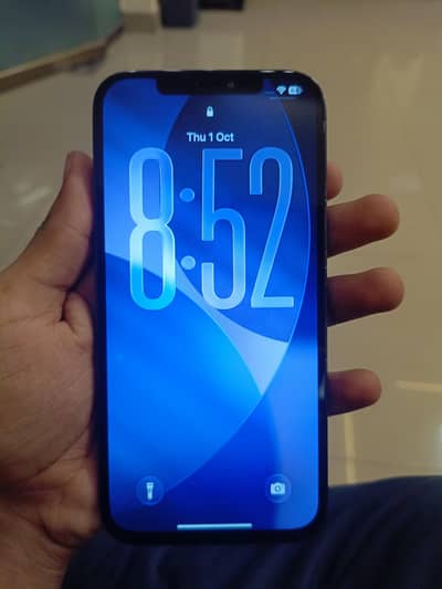 Apple iPhone 12 Pro Max