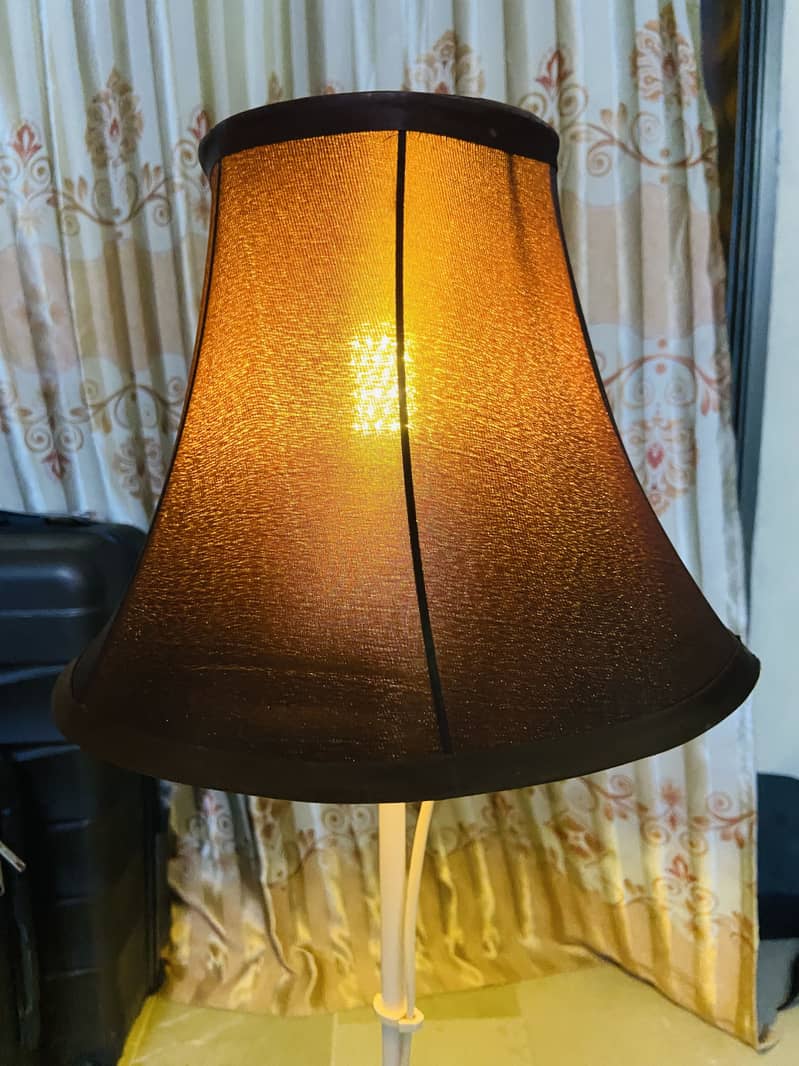 Floor Lamp 11