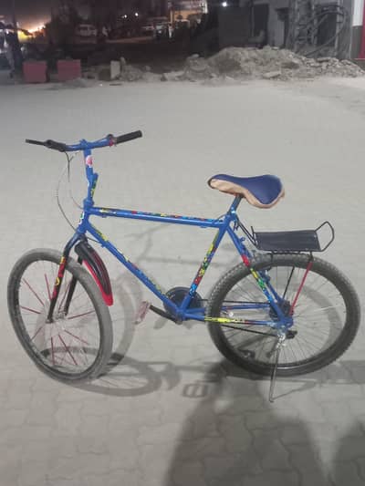Bicycle phonix