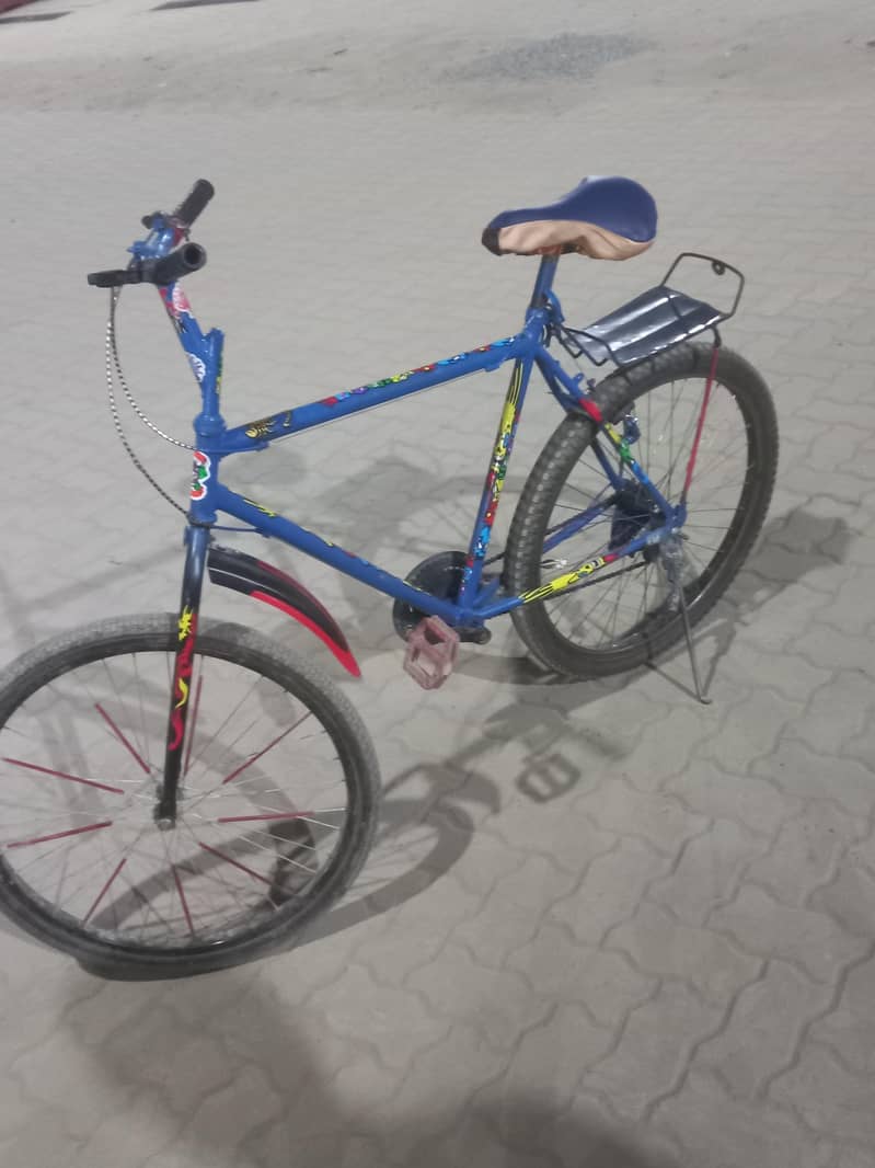Bicycle phonix 1