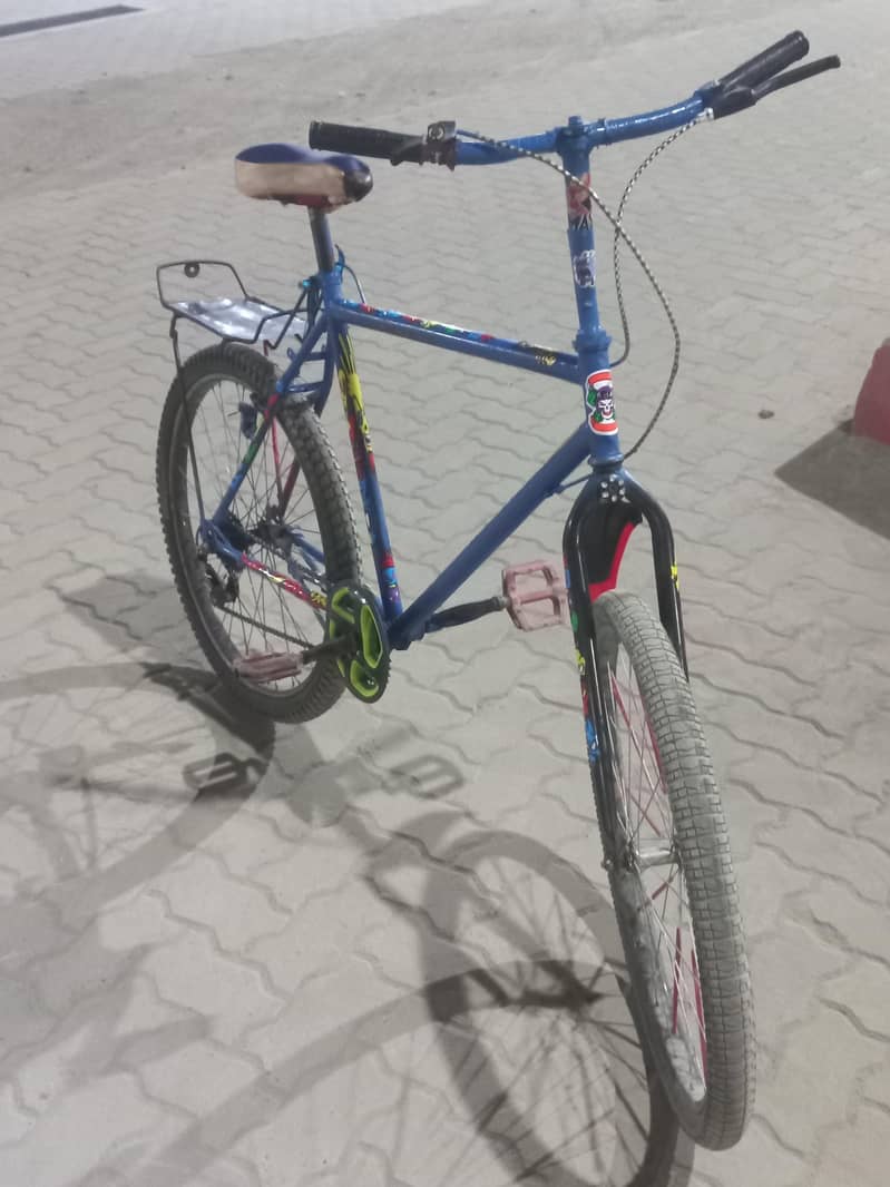 Bicycle phonix 2