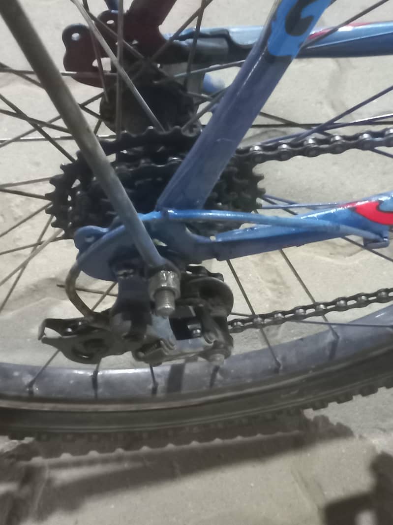 Bicycle phonix 6