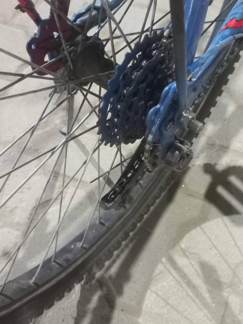 Bicycle phonix 7