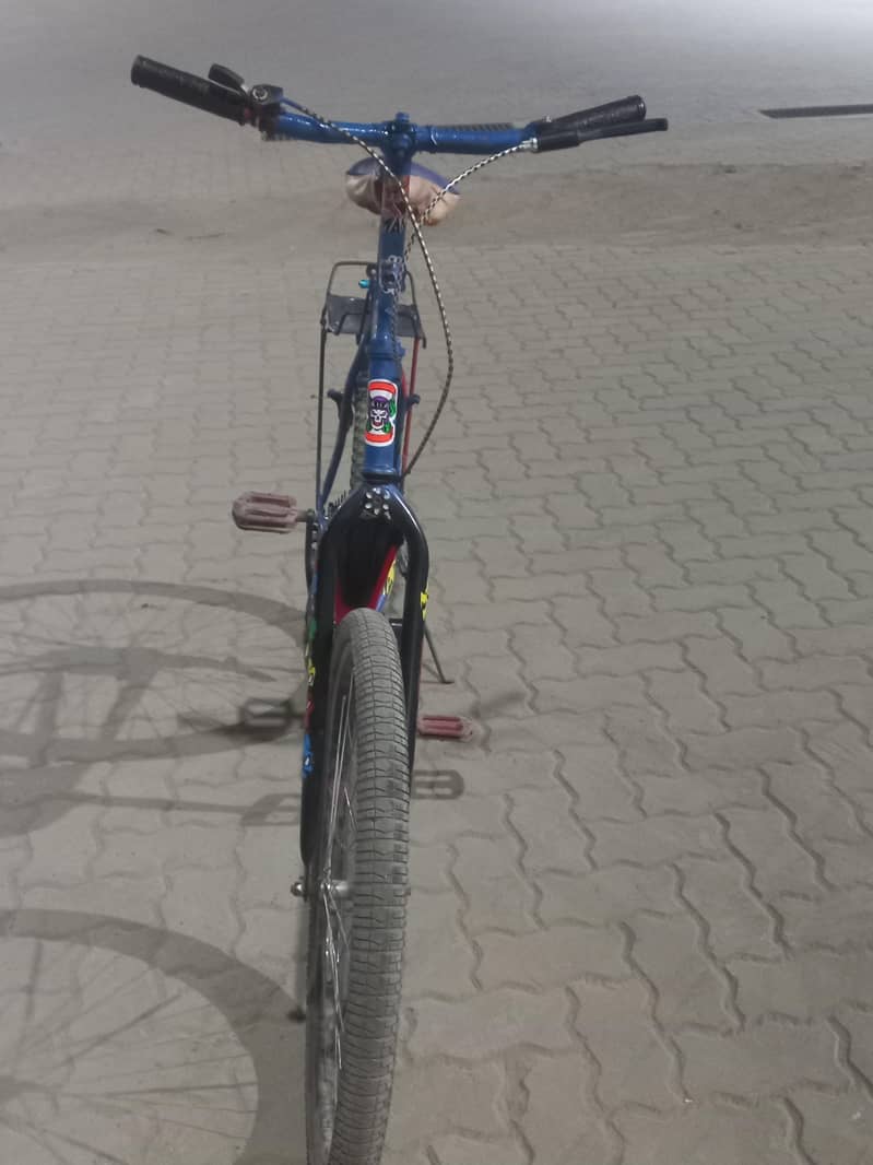 Bicycle phonix 9
