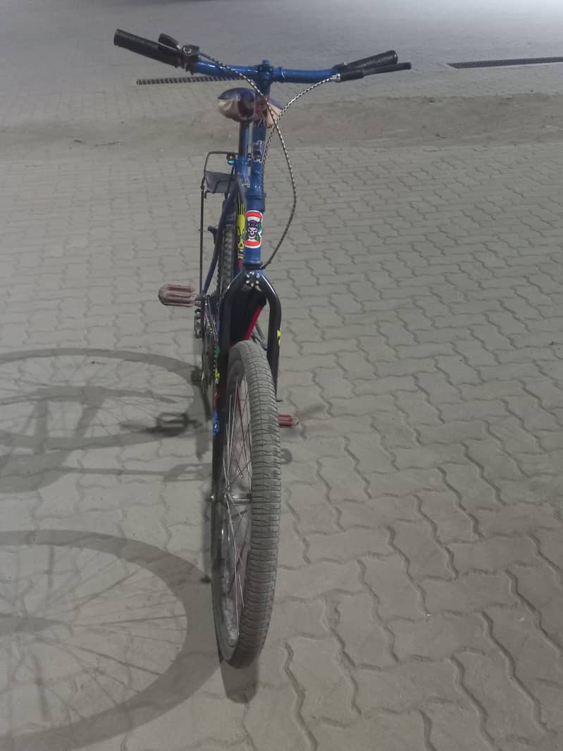 Bicycle phonix 10