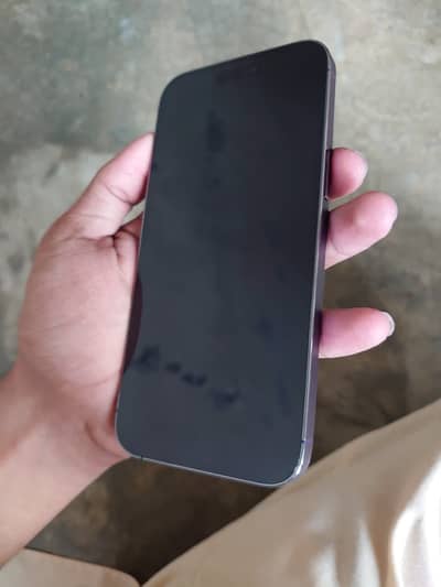 Only Serious Buyer Contact
