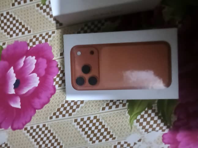 Apple iPhone 17 Pro Max 1