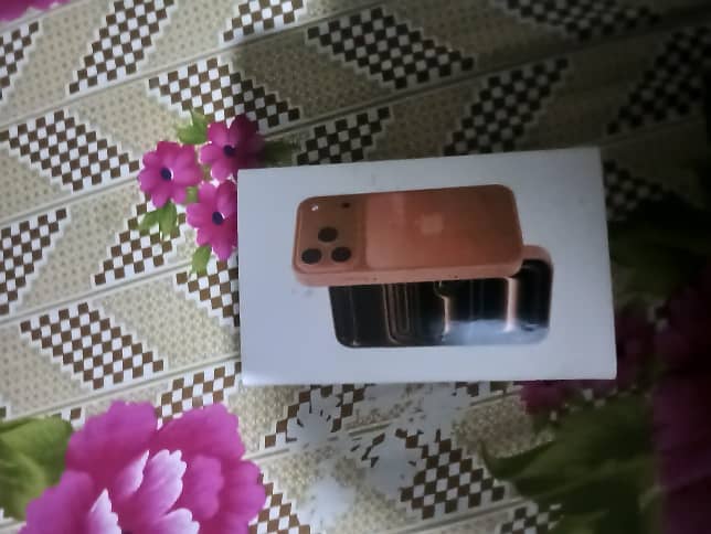 Apple iPhone 17 Pro Max 2
