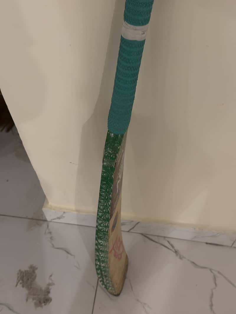 Cricket bat 3