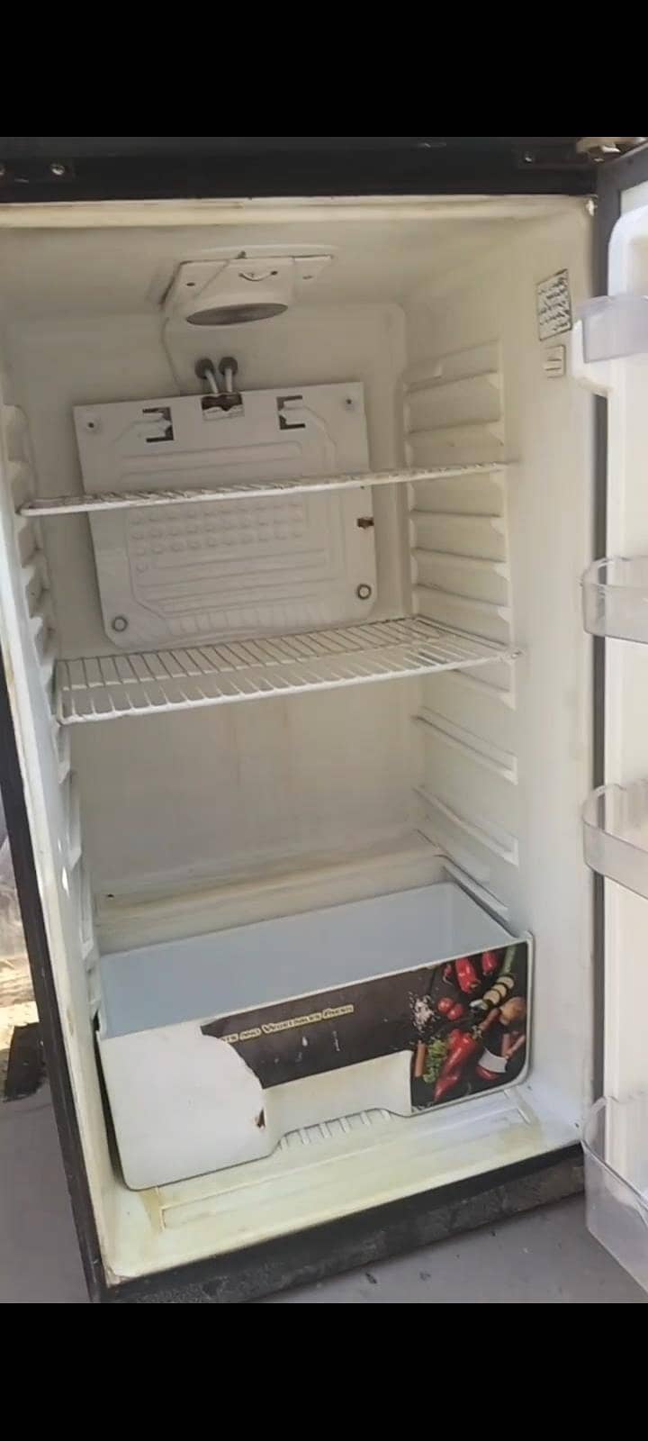 Pel Medium fridge 3