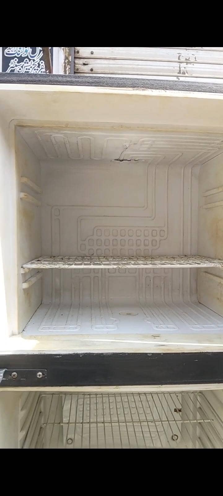 Pel Medium fridge 4