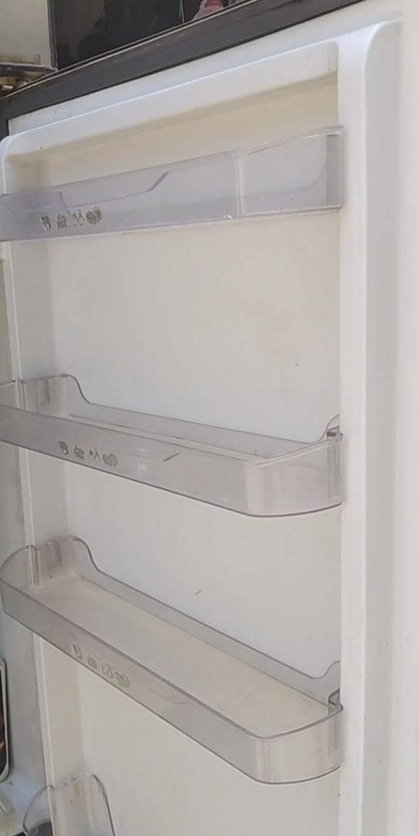 Pel Medium fridge 5