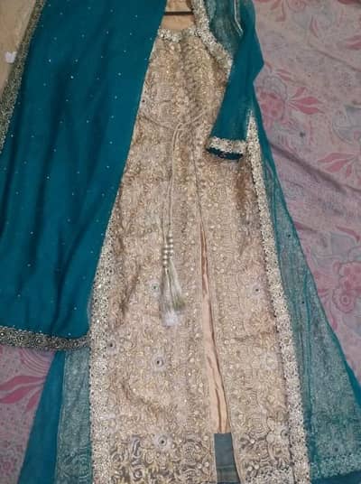 beautiful new color dress reasonable price