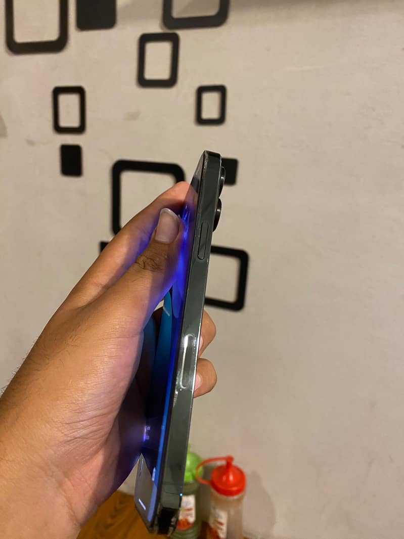 Apple iPhone 13 Pro Max 1
