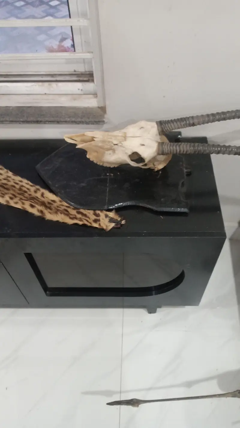 Animal wall decor — photo 2