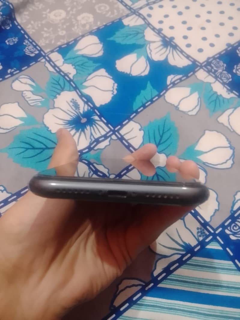Apple iPhone 11 0