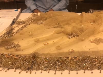 Bridle lhenga choli with tail