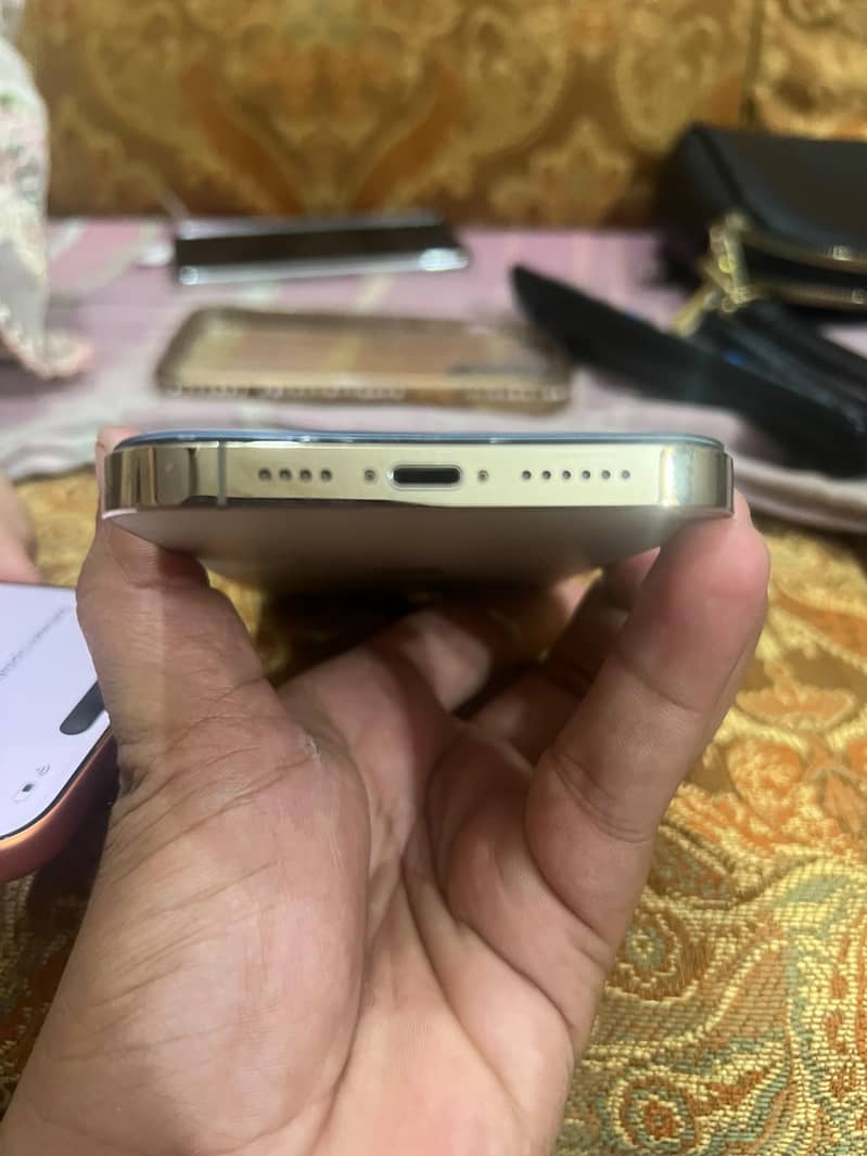 Apple iPhone 13 Pro Max 1