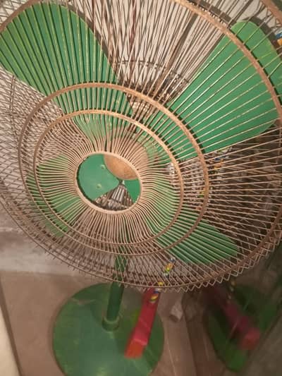 Table Fan for Sale – Powerful Airflow & Excellent Condition