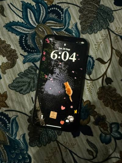 iPhone 12 Pro PTA Approved