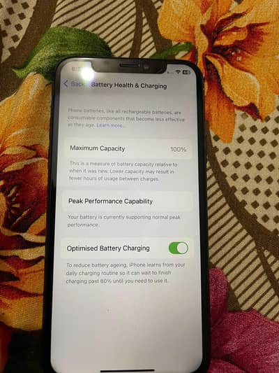 Apple iPhone X