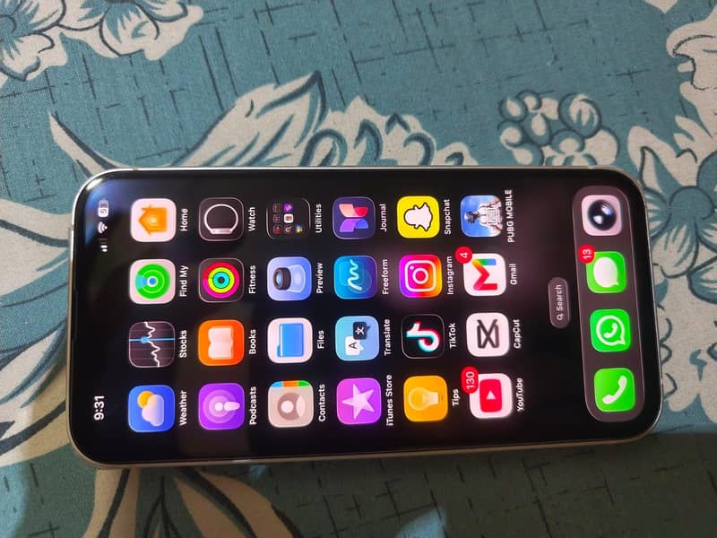 Apple iPhone 13 0