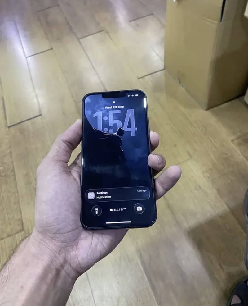 Apple iPhone 13 0