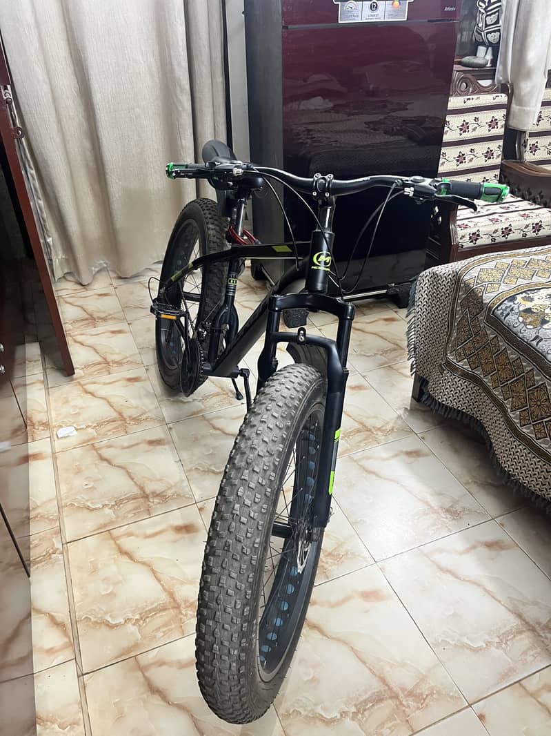 Fat tyre bycycle 2