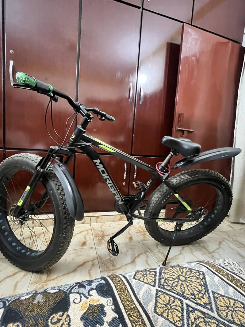 Fat tyre bycycle 3
