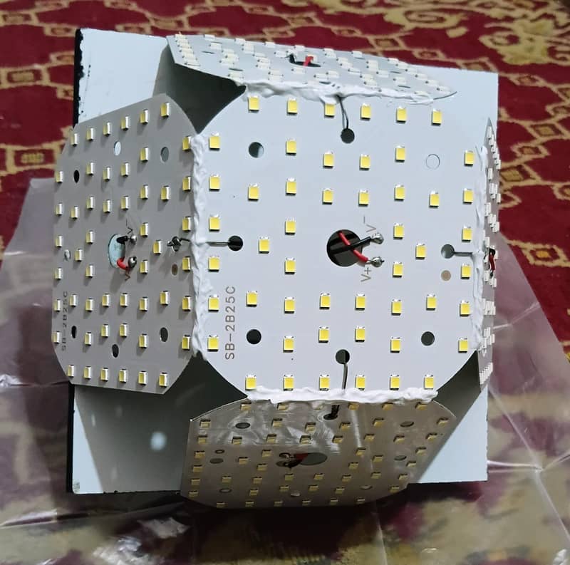 flower bulb 0