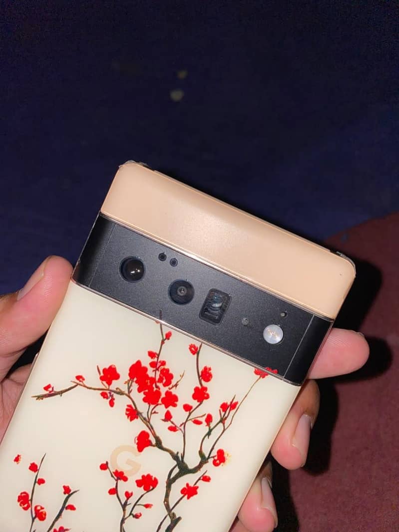 Google Pixel 6 Pro 3