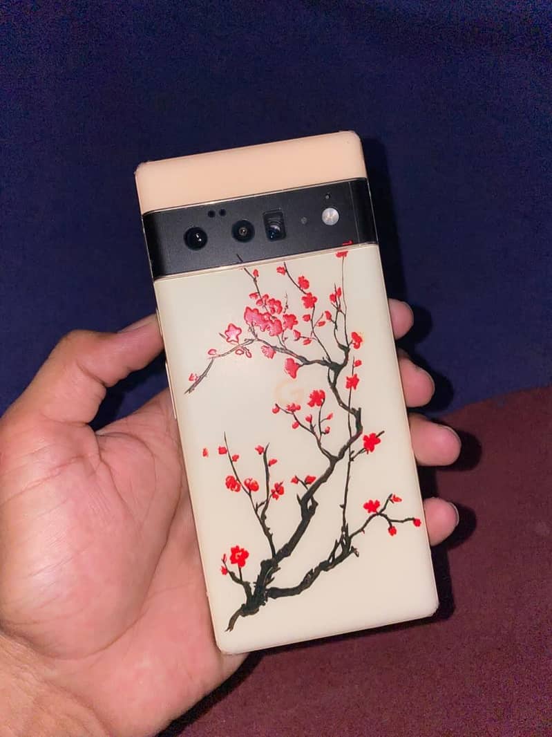 Google Pixel 6 Pro 7