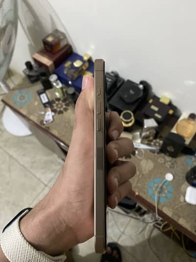 Apple iPhone 16 Pro Max Jv