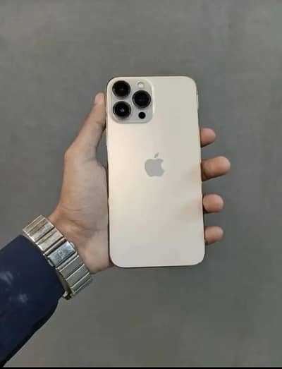 Apple iPhone 13 Pro Max
