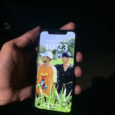 Apple iPhone X