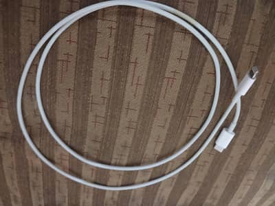 Apple Lightining Cable 1 year used 100% Original